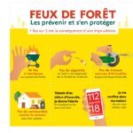 campagne de prévention et lutte contre les feux de forêt 2025