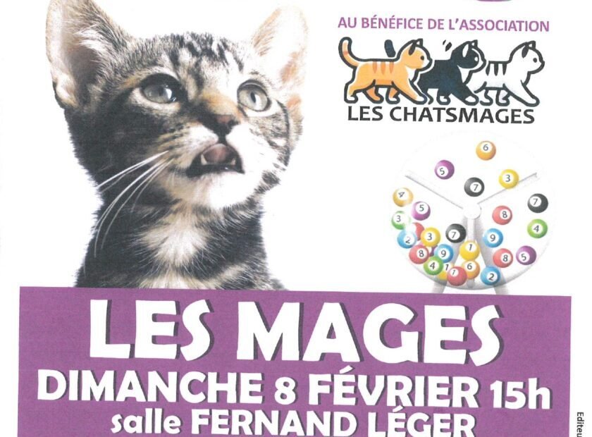 LOTO Chat Mages_page-0001