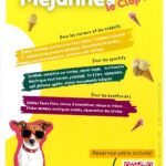 CONCERTS ET SPECTACLES A MEJANNES-LE-CLAP