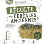 Les jardins ethnobotaniques de la Gardie