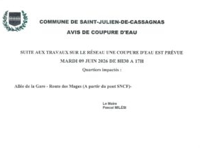 image (2)